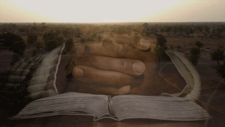 Celebrate Vision 2025